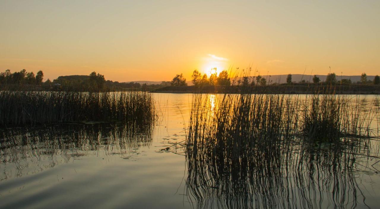 Camping Aux Rives du Soleil Pont-de-Vaux Extérieur photo